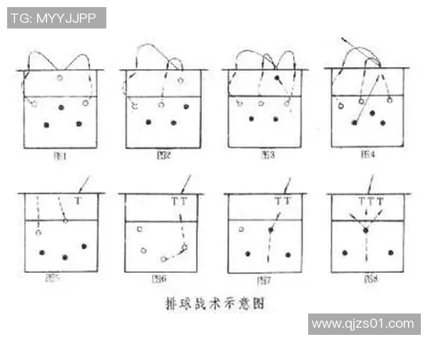 聚焦南京排球技术提升与战术创新探讨 聚焦南京排球技术提升与战术创新探讨