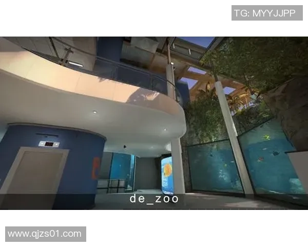 对话刘秀英：谈CS_GO生涯